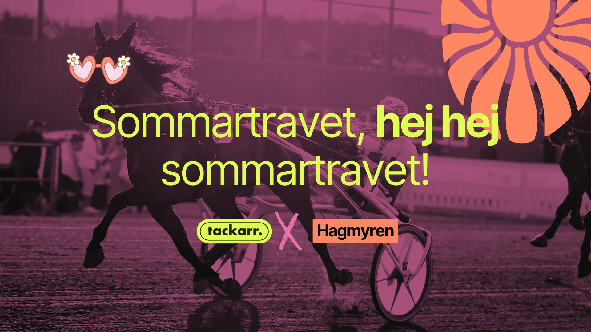 V75 på Hagmyren – 26 juli smäller det (på bästa sätt) 🐎🔥